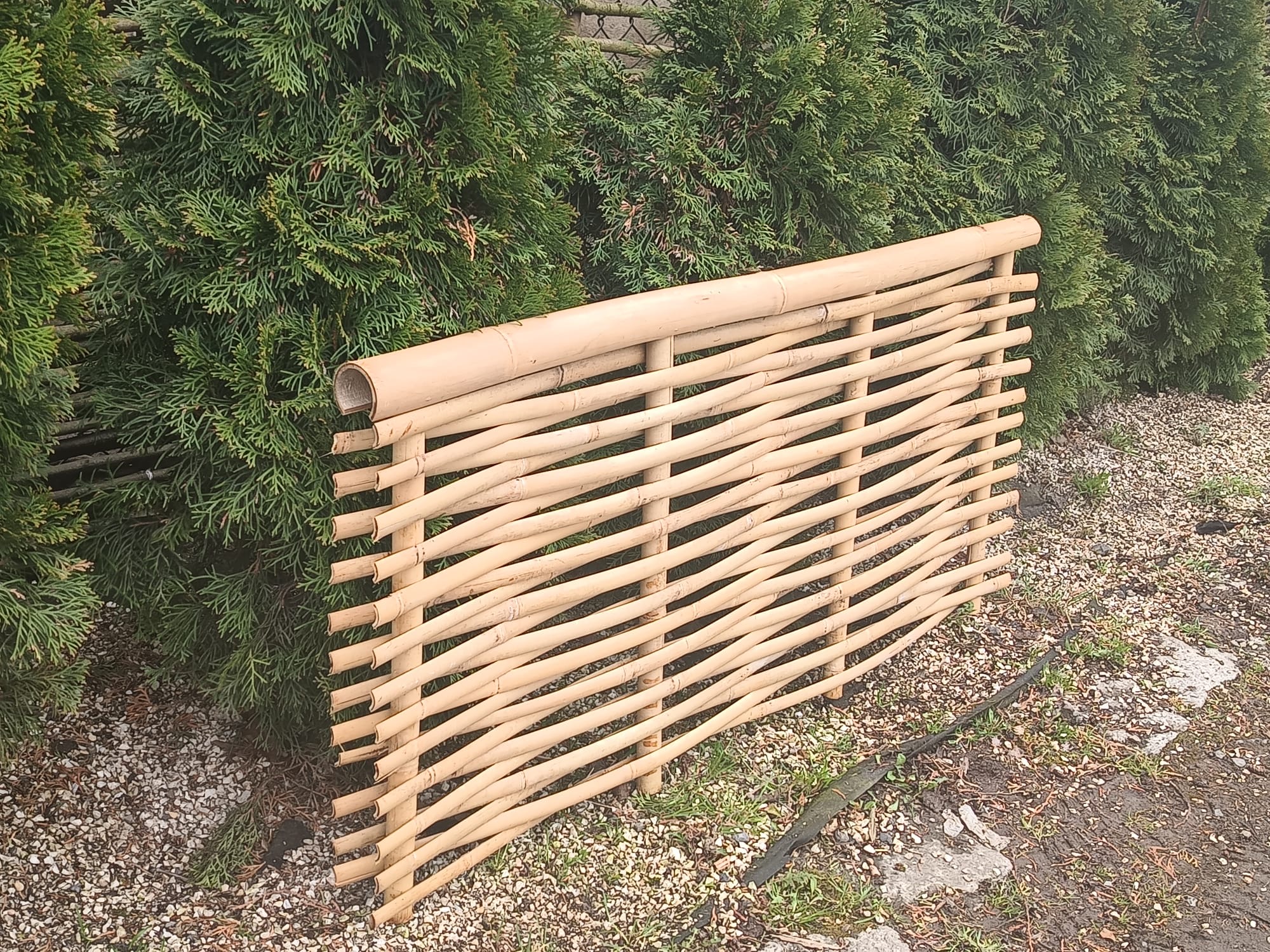 produkt pierwszy w ogrodzeniach z wikliny i leszczyny