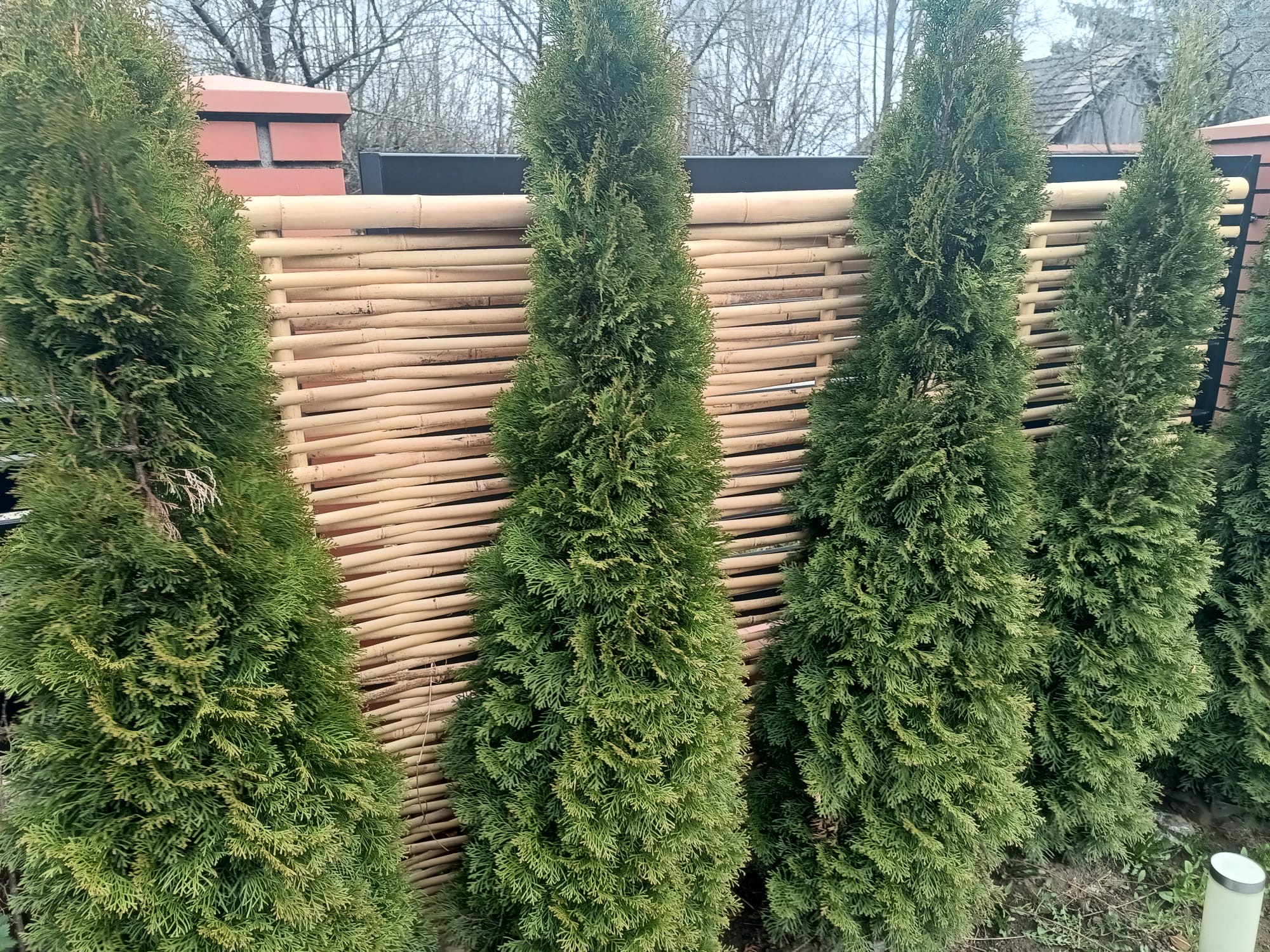 produkt pierwszy w ogrodzeniach z wikliny i leszczyny
