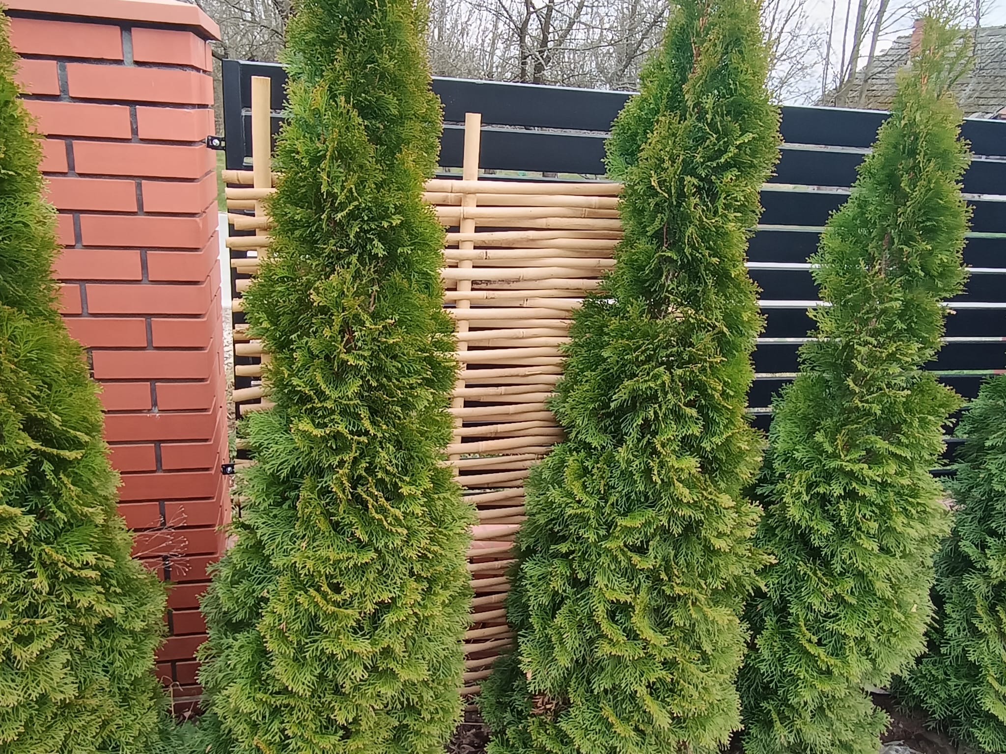 produkt pierwszy w ogrodzeniach z wikliny i leszczyny