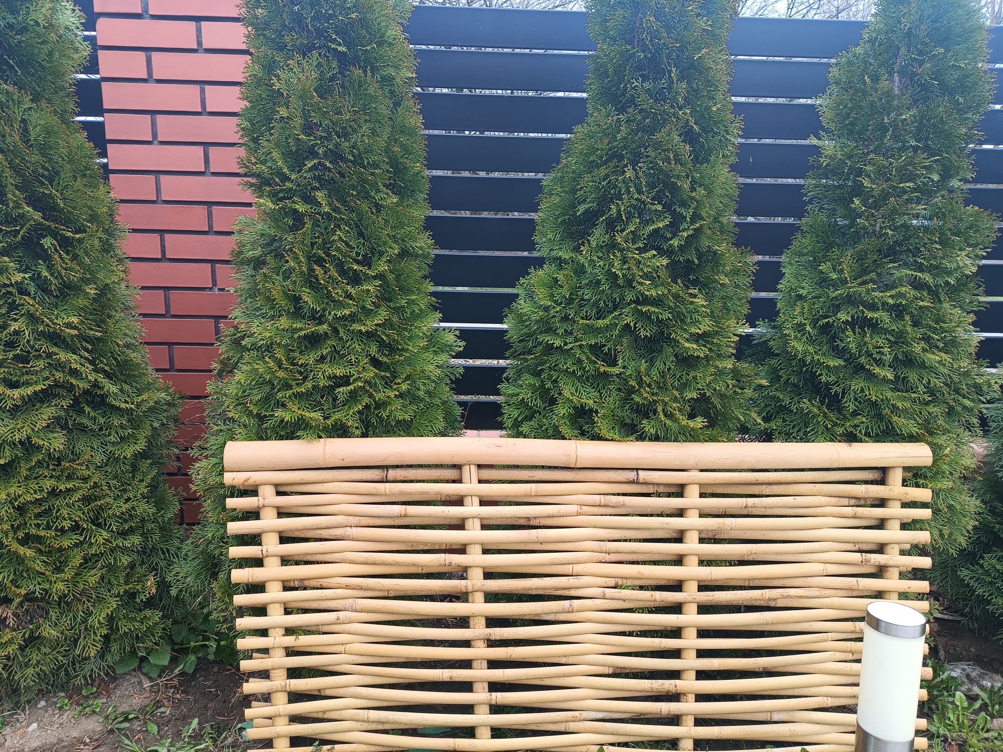 produkt pierwszy w ogrodzeniach z wikliny i leszczyny
